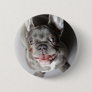 French bulldog 6 cm round badge