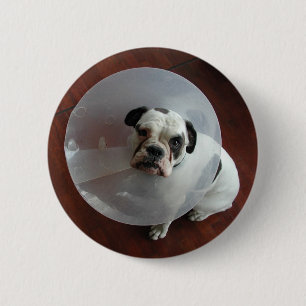 French Bulldog 6 Cm Round Badge