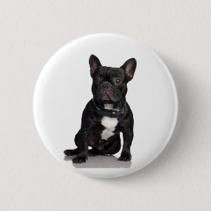 French Bulldog 6 Cm Round Badge