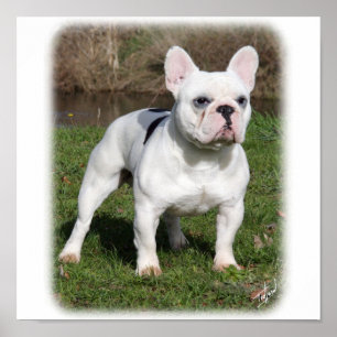 French Bulldog 9Y202D-134 Poster