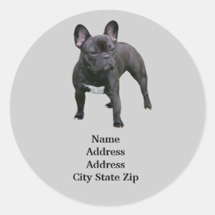 French Bulldog Address Label