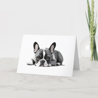 French Bulldog Adorable Cute Animal Sleeping Relax Program