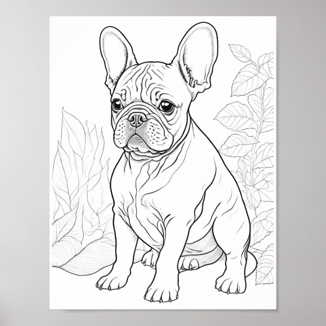 French Bulldog Adult Colouring Poster (Front)