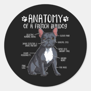 French Bulldog Anatomy Frenchie Dog Lover Owner 2  Classic Round Sticker