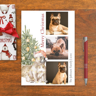 French Bulldog and Christmas Tree Pet Dog Photo Holiday Card