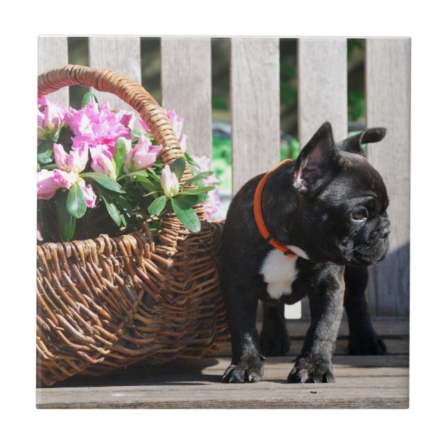 French Bulldog Basket Ceramic Tile (Front)