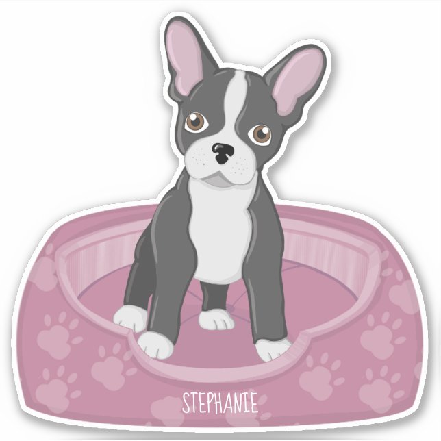 French Bulldog Birthday (Front)