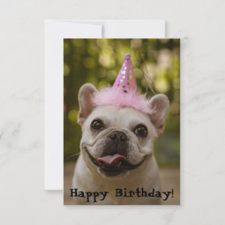 French Bulldog Birthday Card
