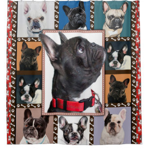 French Bulldog Blanket, French Bulldog Throw, Shower Curtain