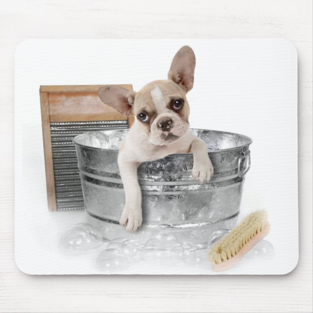 French Bulldog Brown & White Puppy Dog Taking Bath Mouse Pad (Front)