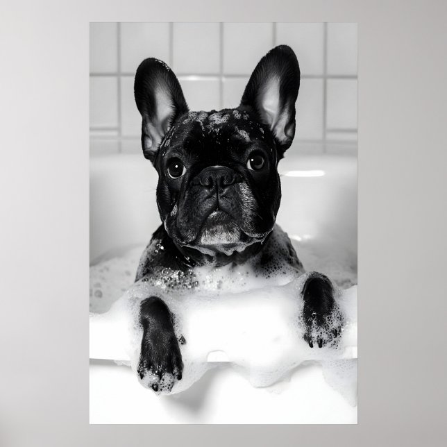 French Bulldog Bubble Bath Print, Funny Dog Poster (Front)