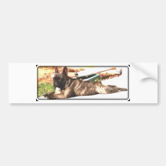 French bulldog bumper sticker (Front)