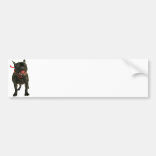 French Bulldog Bumper Sticker