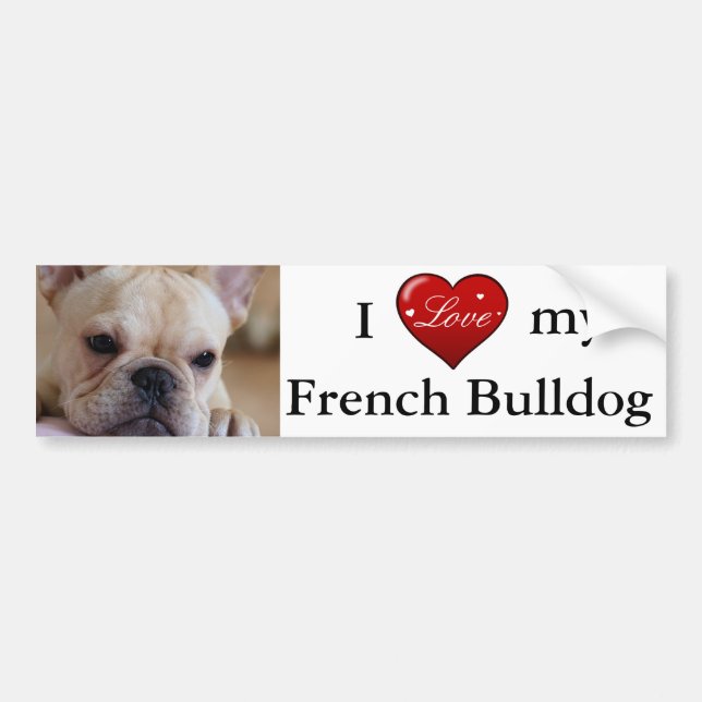 French Bulldog Bumper Sticker (Front)