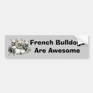 French Bulldog Bumper Sticker