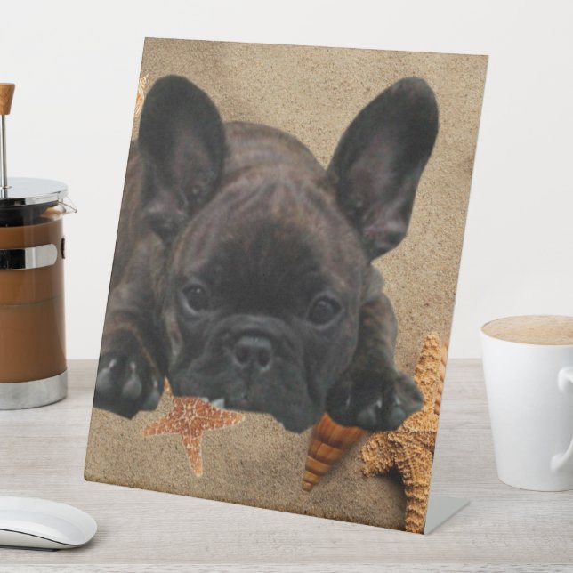French Bulldog by the Sea Pedestal Sign (In SItu)