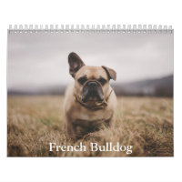 French Bulldog Calendar