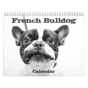 French Bulldog Calendar 2025 Black And White