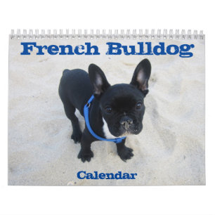 French Bulldog Calendar 2025 Change It