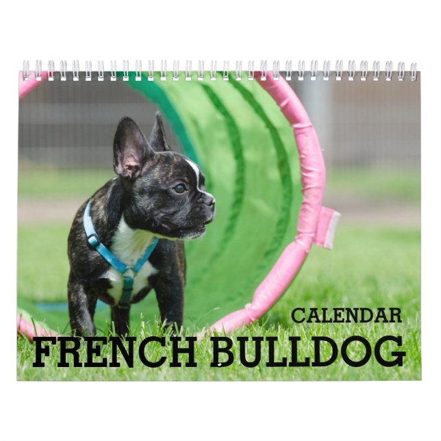 French Bulldog Calendar 2026 (Cover)