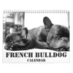 French Bulldog Calendar 2026 Black And White