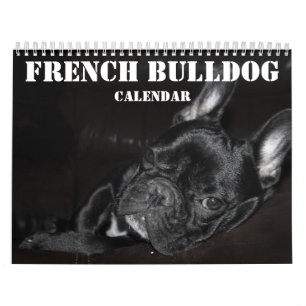 French Bulldog Calendar 2026 With Photos