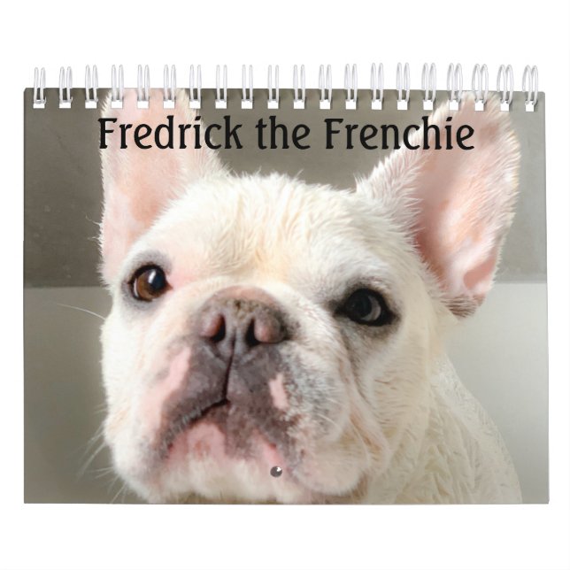 French Bulldog Calendar - Fredrick the Frenchie  (Cover)