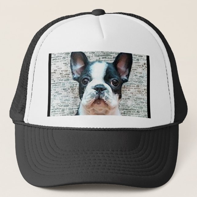 French Bulldog cap (Front)