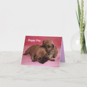 French Bulldog Card on pillows