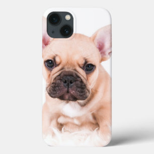 French Bulldog iPhone 13 Case