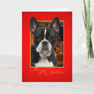 French Bulldog Christmas Card