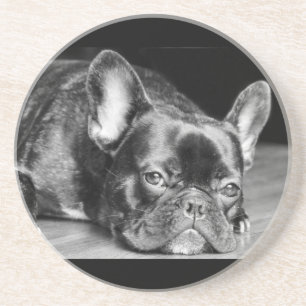 French Bulldog Coaster