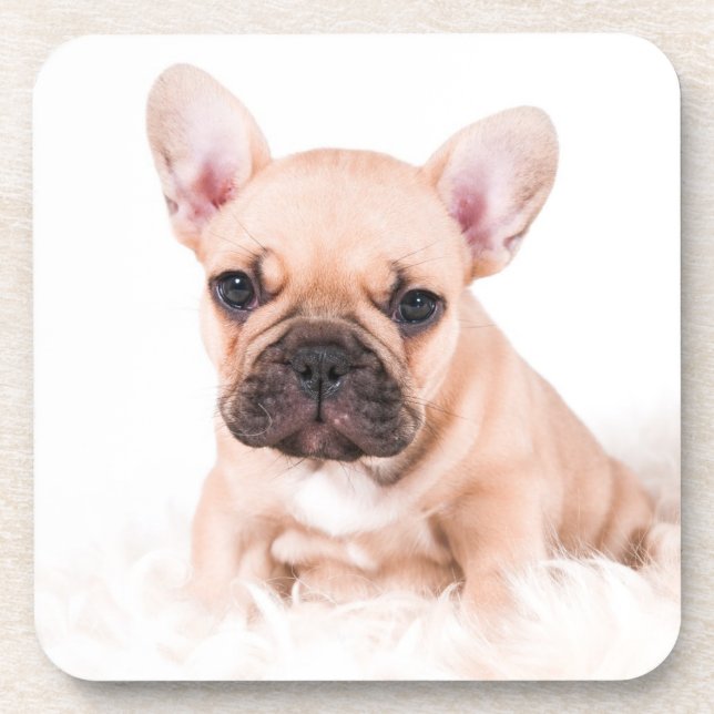 French Bulldog Coaster (Front)