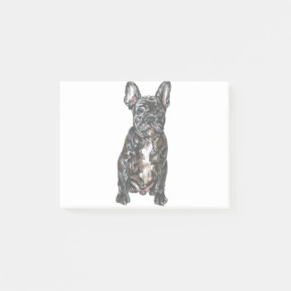 french bulldog colour post-it notes