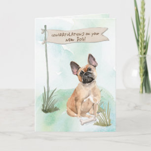 French Bulldog Congratulations on New Dog Card