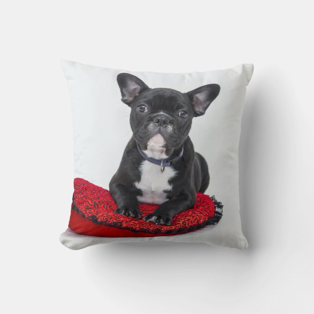 French bulldog cushion (Front)