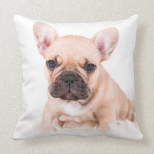 French Bulldog Cushion