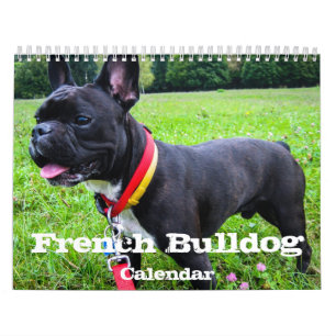 French Bulldog Custom Calendar Add Pet Photos
