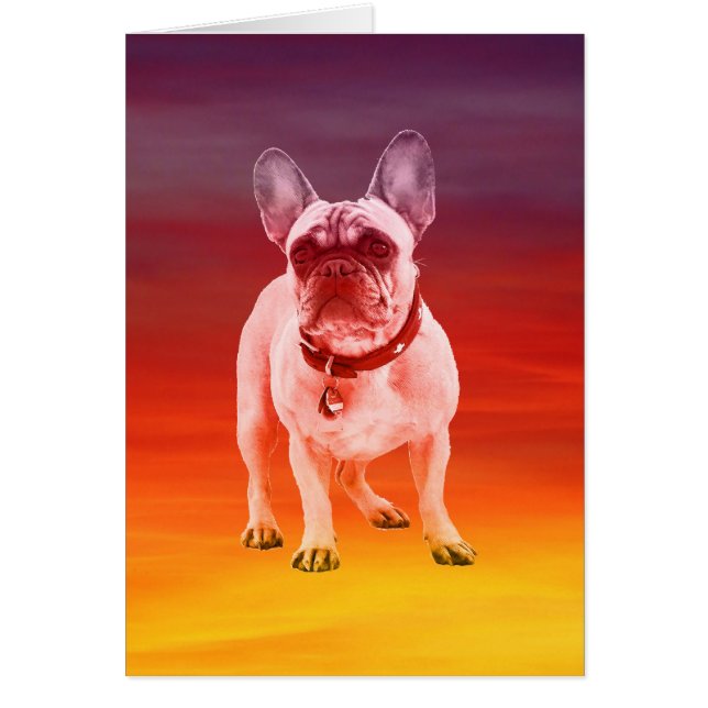 French Bulldog Dog Sitting On Beach (Front)