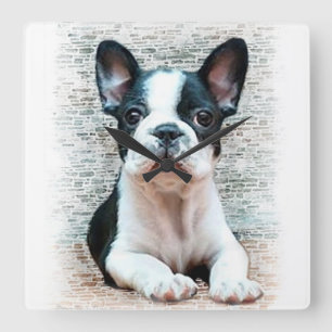 French bulldog dog square wall clock