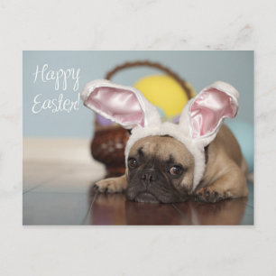 French Bulldog Easter Card! Holiday Postcard