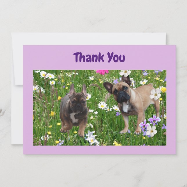 French Bulldog Field French Bulldog Invitation (Front)