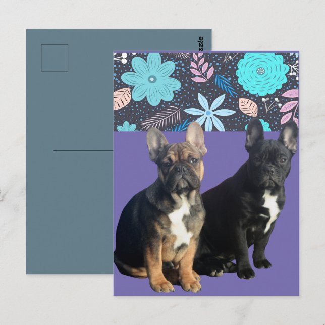 French Bulldog Flowers French Bulldog  Postcard (Front/Back)