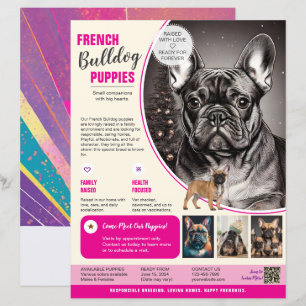 French Bulldog Flyer Purple