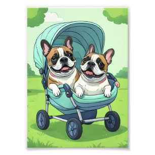 French Bulldog Französische Bulldogge Zwillinge Photo Print