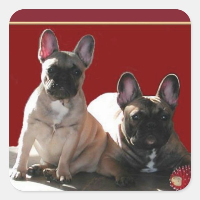 French Bulldog Friends French Bulldog Square Sticker (Front)