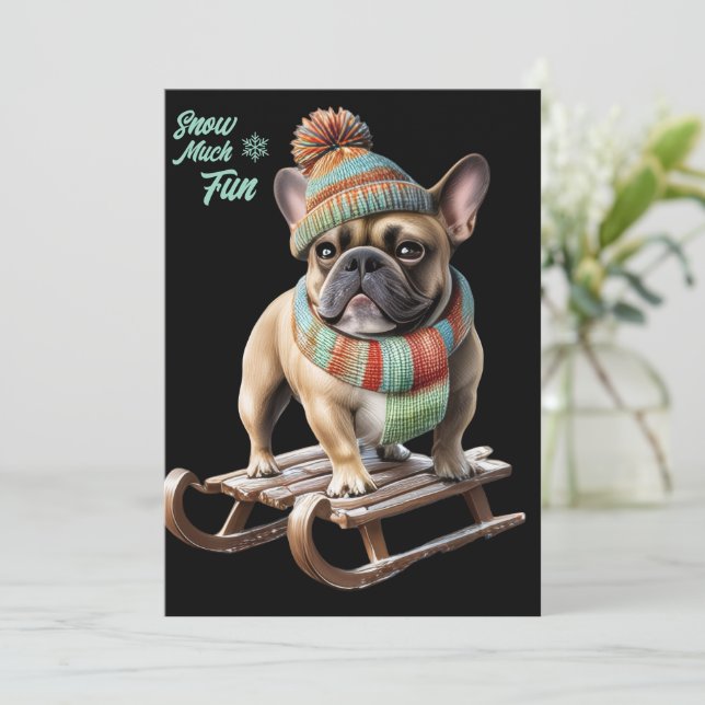 French Bulldog funny sled ride on vacation (Standing Front)