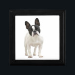 French Bulldog gift box jewellery box trinket box<br><div class="desc">Photo portrait of a beautiful french bulldog dog trinket box,   gift box,  jewellery box.  great gift idea for dog lovers</div>