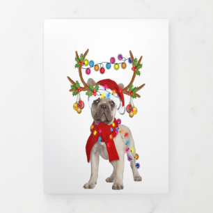 French Bulldog Gorgeous Reindeer Christmas Gift Tri-Fold Announcement