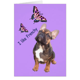 French Bulldog Greeting Cards